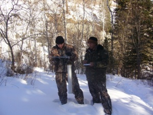 В Катунском заповеднике начались традиционные зимние учеты